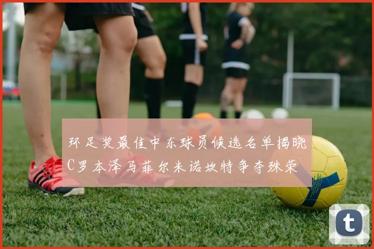 环足奖最佳中东球员候选名单揭晓C罗本泽马菲尔米诺坎特争夺殊荣