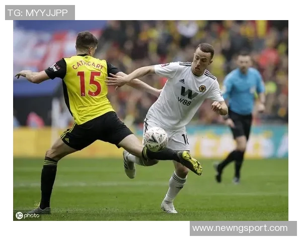 罗马球迷涉嫌策划尼斯比赛前暴力活动13人今日受审引发关注