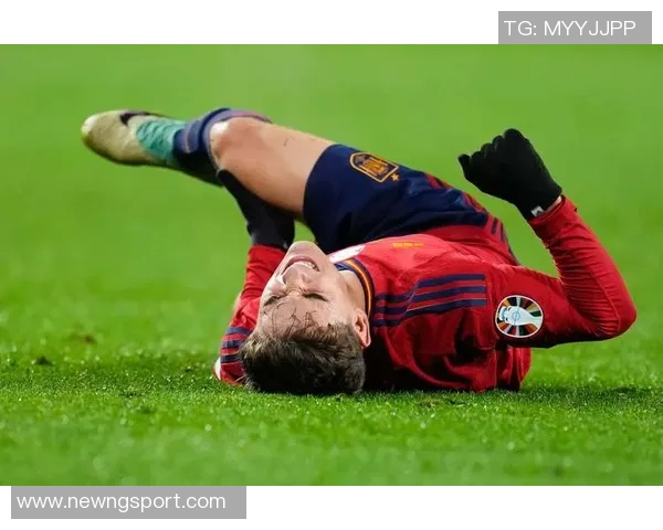 国米旧将范赫斯登因膝盖韧带重伤宣布退役年仅26岁